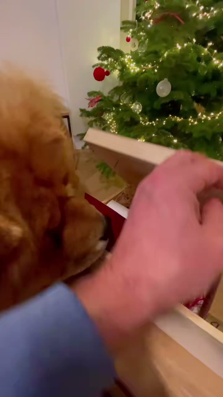 Gwiazdor przyszedł od firmy Mediarecovery 🎅🏻